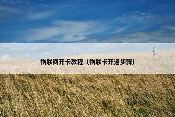 物联网开卡教程（物联卡开通步骤）