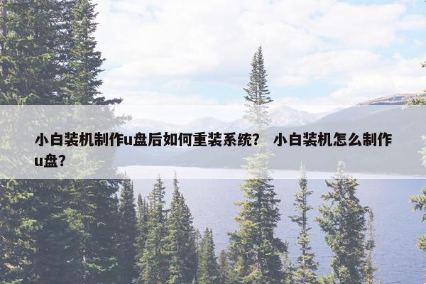 小白装机制作u盘后如何重装系统？ 小白装机怎么制作u盘？