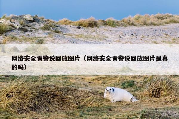 网络安全青警说回放图片（网络安全青警说回放图片是真的吗）