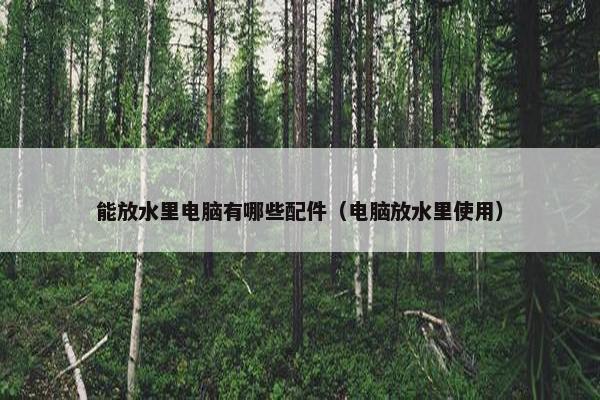 能放水里电脑有哪些配件（电脑放水里使用）