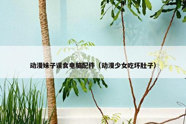 动漫妹子误食电脑配件（动漫少女吃坏肚子）