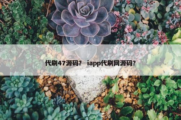 代刷47源码？ iapp代刷网源码？
