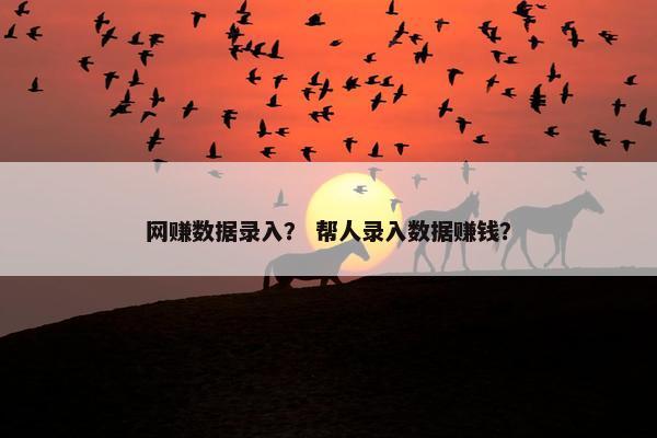 网赚数据录入？ 帮人录入数据赚钱？