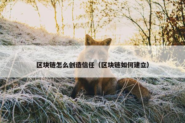 区块链怎么创造信任（区块链如何建立）