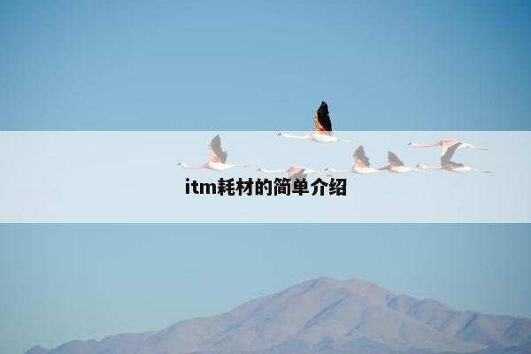 itm耗材的简单介绍