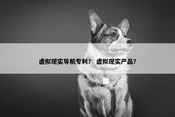 虚拟现实导航专利？ 虚拟现实产品？