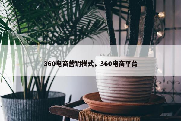 360电商营销模式，360电商平台