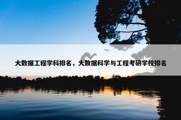 大数据工程学科排名，大数据科学与工程考研学校排名