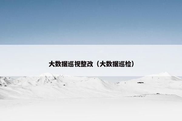 大数据巡视整改（大数据巡检）