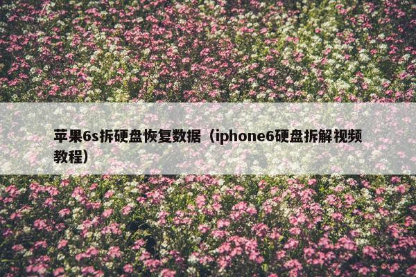 苹果6s拆硬盘恢复数据（iphone6硬盘拆解视频教程）
