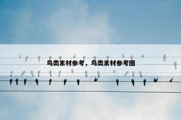 鸟类素材参考，鸟类素材参考图