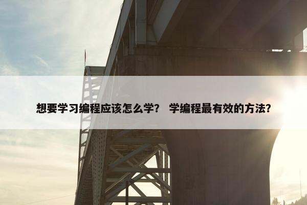 想要学习编程应该怎么学？ 学编程最有效的方法？