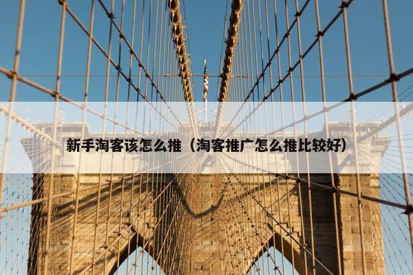 新手淘客该怎么推（淘客推广怎么推比较好）