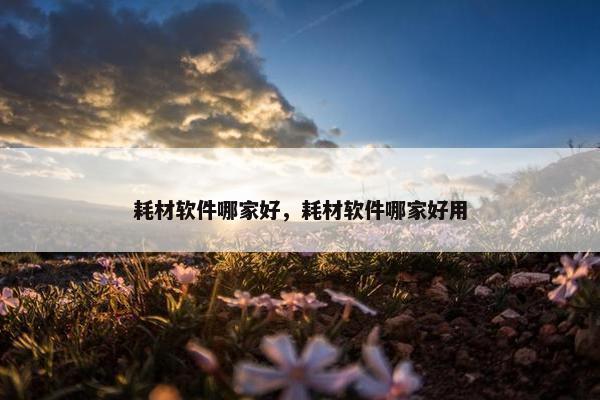 耗材软件哪家好，耗材软件哪家好用