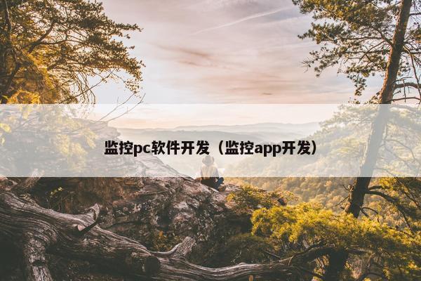 监控pc软件开发（监控app开发）