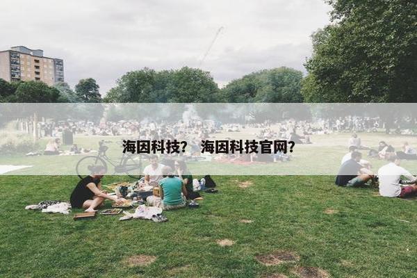 海因科技？ 海因科技官网？