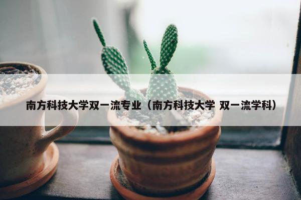 南方科技大学双一流专业（南方科技大学 双一流学科）