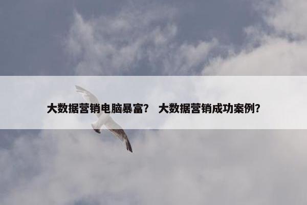 大数据营销电脑暴富? 大数据营销成功案例? 大数据营销电脑暴富? 大数据营销成功案例?