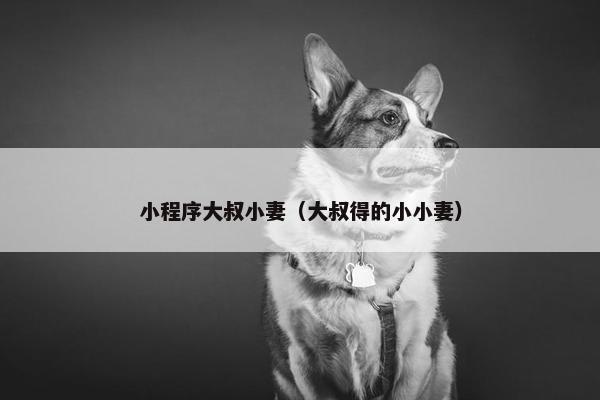 小程序大叔小妻（大叔得的小小妻）