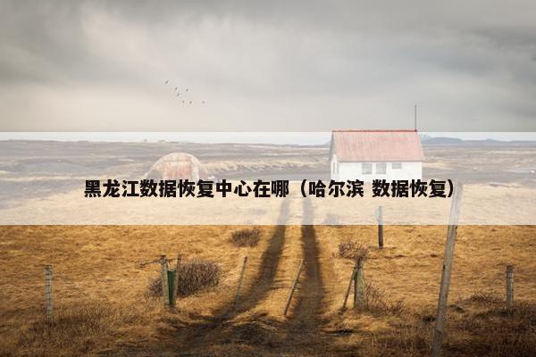 黑龙江数据恢复中心在哪（哈尔滨 数据恢复）