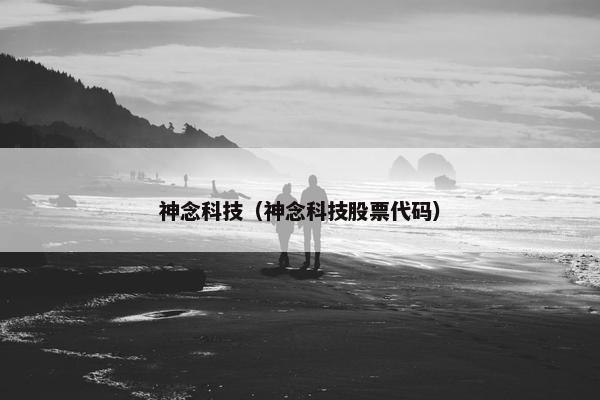 神念科技（神念科技股票代码）