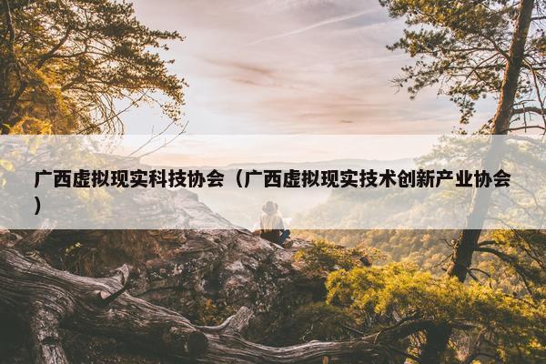 广西虚拟现实科技协会（广西虚拟现实技术创新产业协会）