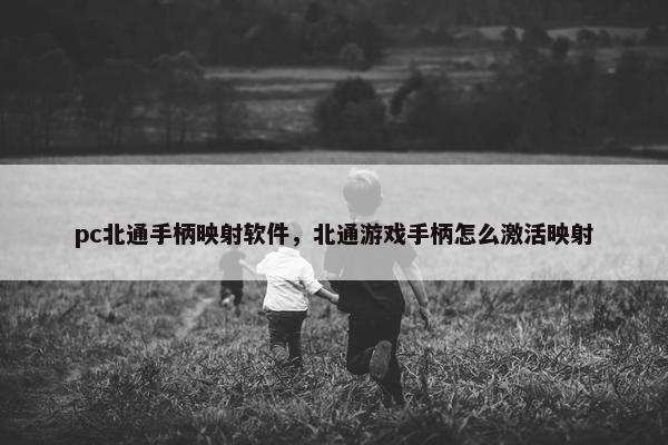 pc北通手柄映射软件，北通游戏手柄怎么激活映射