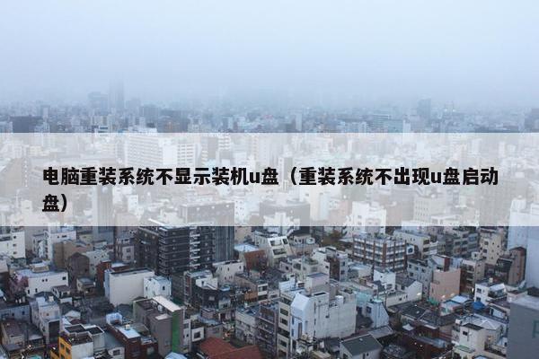 电脑重装系统不显示装机u盘（重装系统不出现u盘启动盘）