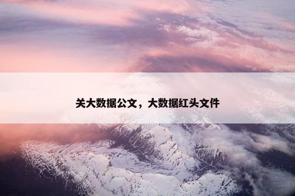 关大数据公文，大数据红头文件