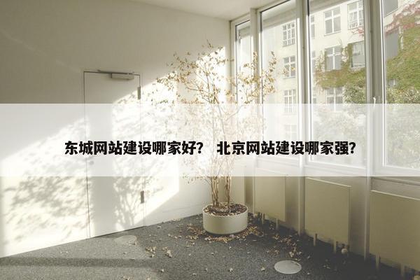 东城网站建设哪家好？ 北京网站建设哪家强？