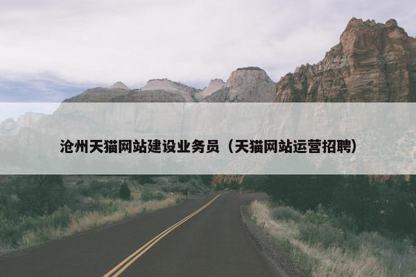 沧州天猫网站建设业务员（天猫网站运营招聘）