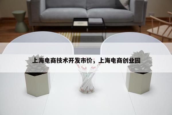 上海电商技术开发市价，上海电商创业园