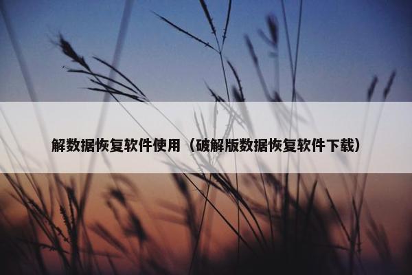 解数据恢复软件使用（破解版数据恢复软件下载）