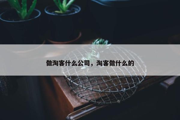 做淘客什么公司，淘客做什么的