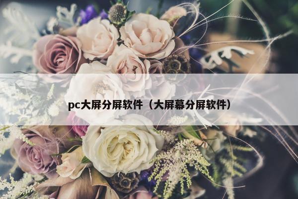 pc大屏分屏软件(大屏幕分屏软件) pc大屏分屏软件(大屏幕分屏软件)