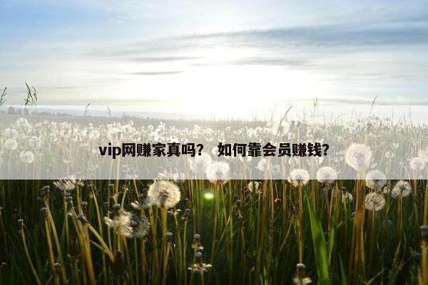 vip网赚家真吗？ 如何靠会员赚钱？