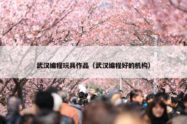 武汉编程玩具作品（武汉编程好的机构）