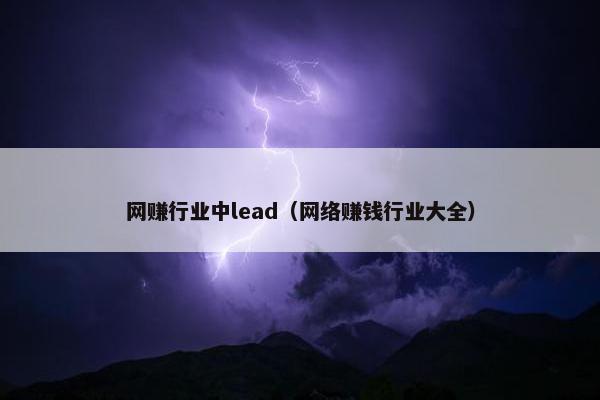 网赚行业中lead（网络赚钱行业大全）