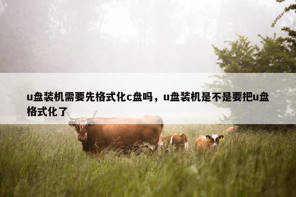 u盘装机需要先格式化c盘吗，u盘装机是不是要把u盘格式化了