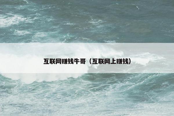 互联网赚钱牛哥（互联网上赚钱）