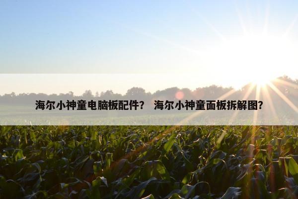 海尔小神童电脑板配件？ 海尔小神童面板拆解图？