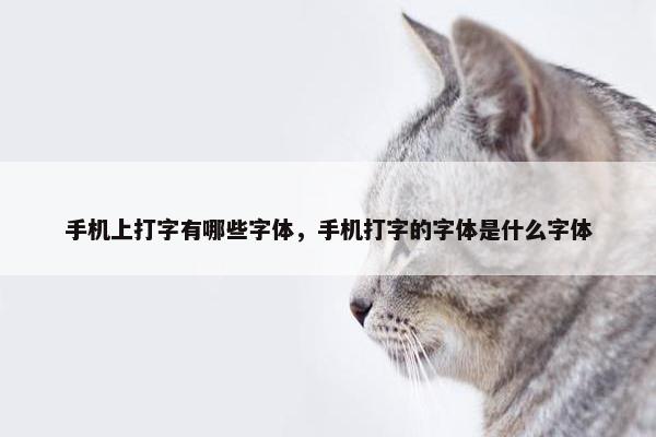 手机上打字有哪些字体，手机打字的字体是什么字体