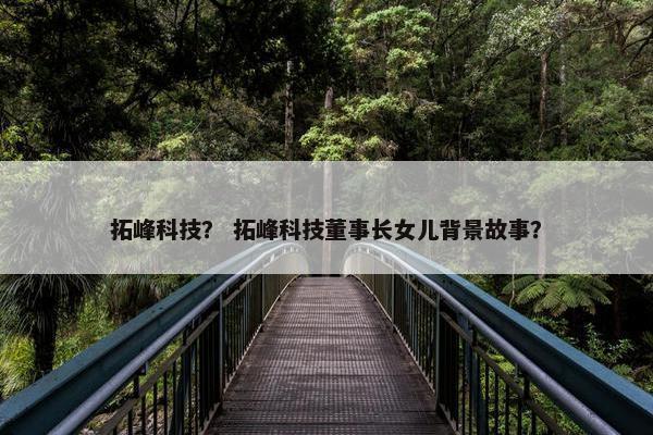 拓峰科技？ 拓峰科技董事长女儿背景故事？