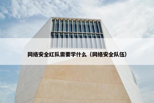 网络安全红队需要学什么（网络安全队伍）