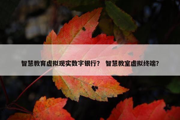 智慧教育虚拟现实数字银行？ 智慧教室虚拟终端？