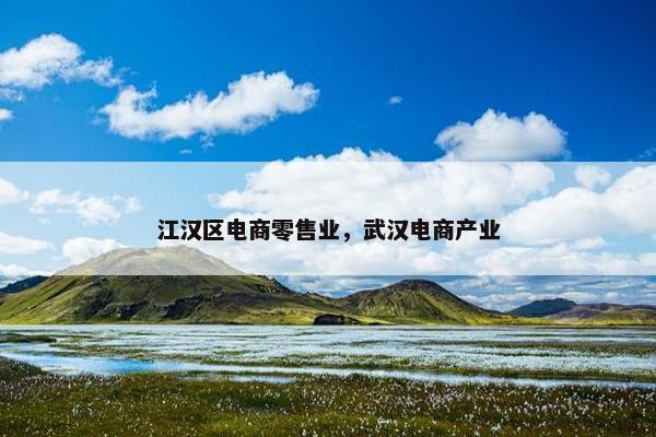 江汉区电商零售业，武汉电商产业