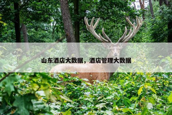 山东酒店大数据，酒店管理大数据