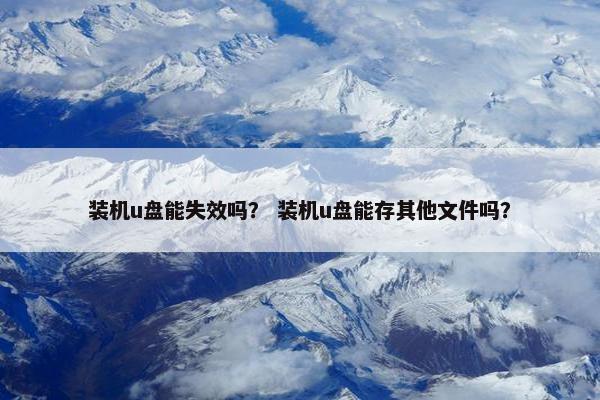 装机u盘能失效吗？ 装机u盘能存其他文件吗？