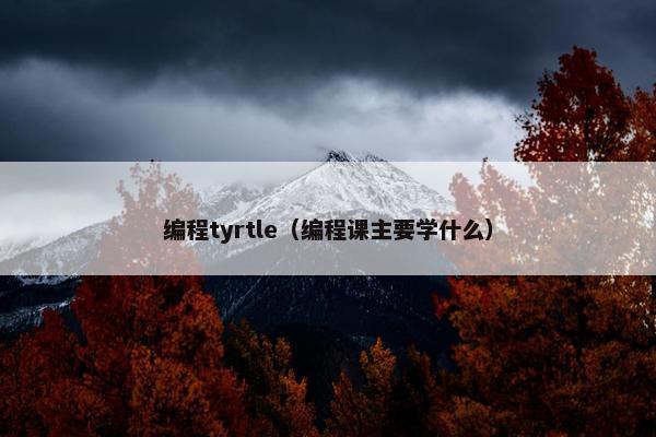 编程tyrtle（编程课主要学什么）