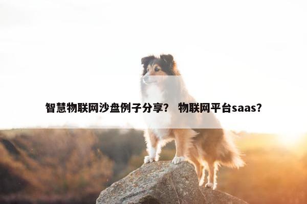 智慧物联网沙盘例子分享？ 物联网平台saas？